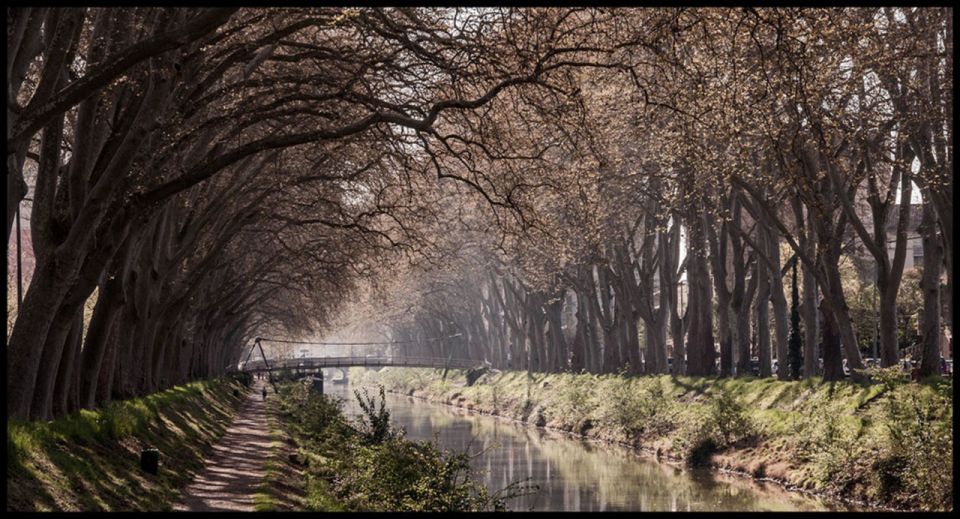 Getaway E-Bike Tour, Canal Du Midi and the Countryside - Restrictions