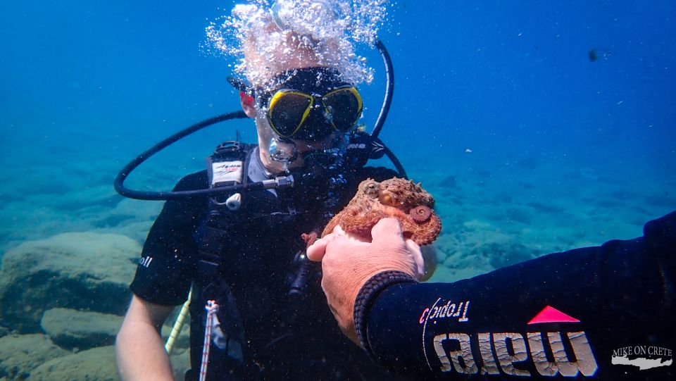 Heraklion: Scuba Diving Experience for First-Timers - Dive Into Your First Scuba Adventure