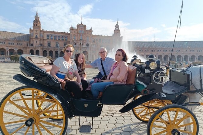 Private Guided Tour of Seville in a Traditional Horse Car - Terms & Conditions and Important Guidelines