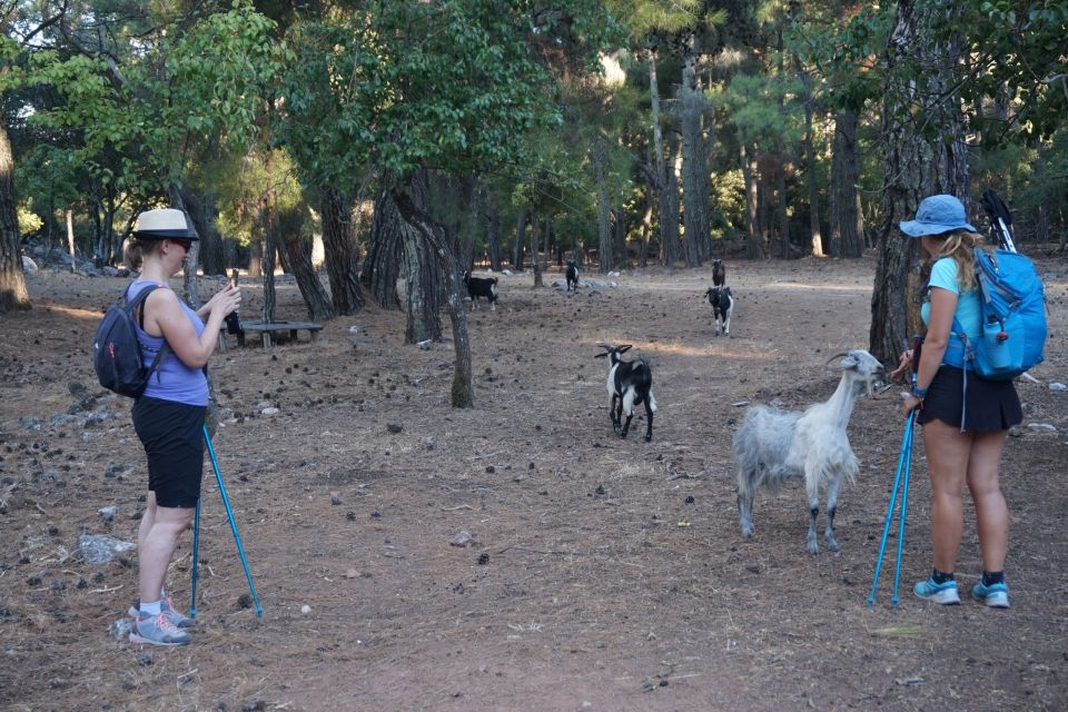 Rhodes: Hike Mountain Profitis Ilias From Salakos Village - Language and Pickup