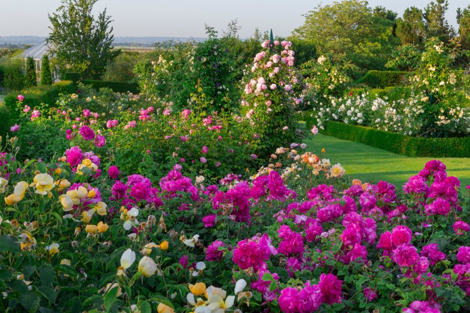 Royal Horticultural Society: Hyde Hall Garden Ticket - Important Information