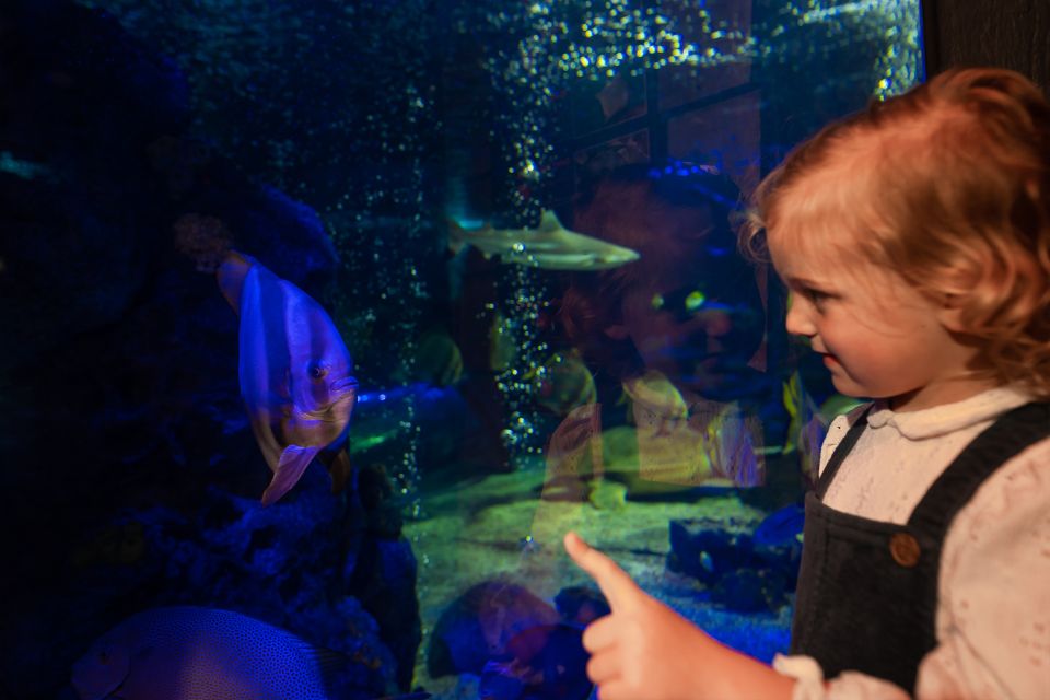 Sea Life Scarborough - Location and Accessibility