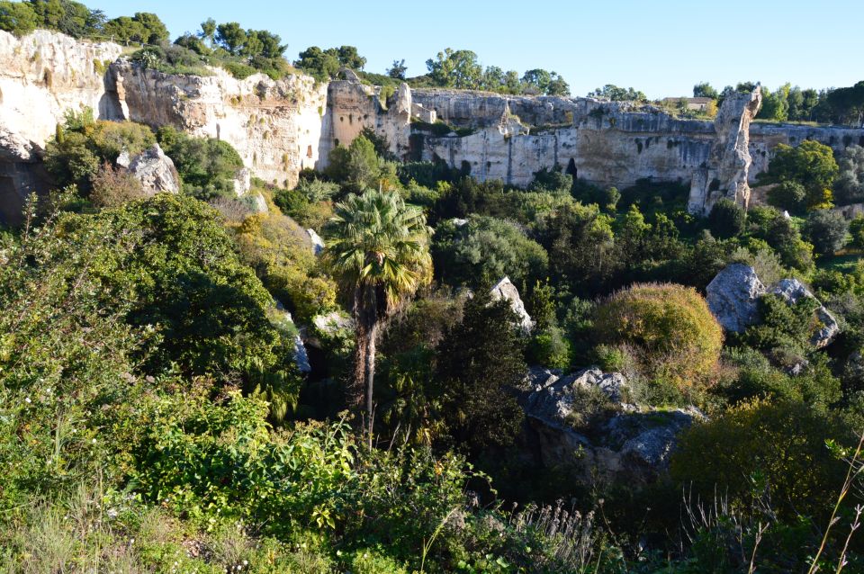 Syracuse: Ortigia and Neapolis Guided Walking Tour - Inclusions