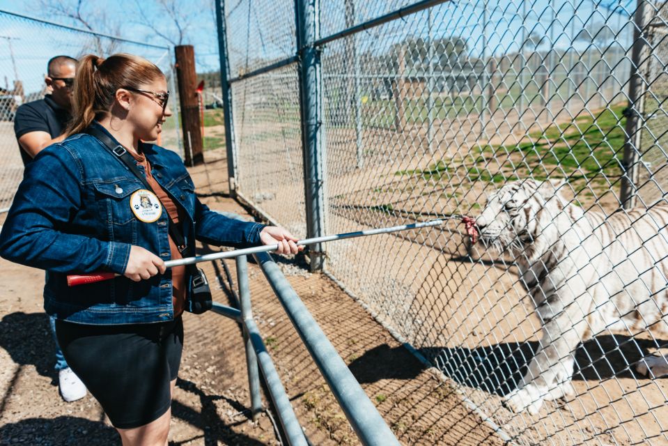 Alpine: Lions Tigers & Bears Animal Sanctuary Guided Visit - Location and Visit Information