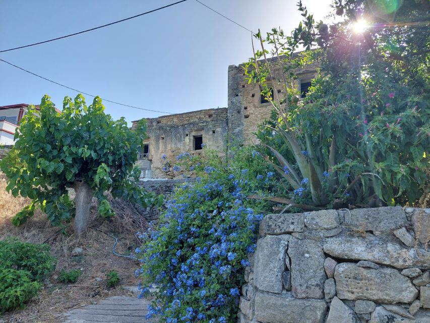 Chania: 5-Wine Tasting With Locals in Village Near Kissamos - Booking Details