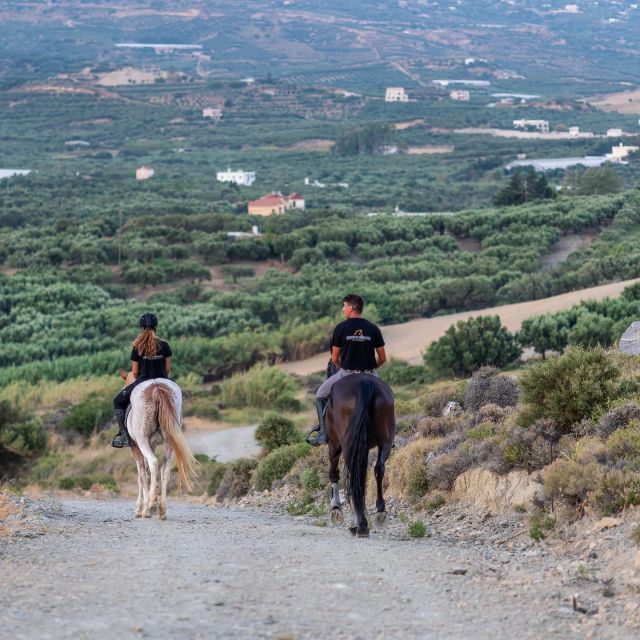 Crete Horse Riding: Cretan Countryside Ride - Price and Duration