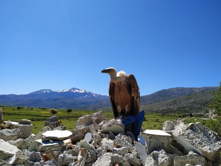 Crete: Lasithi Plateau and Cave of Zeus Off Road Safari Tour - Customer Reviews