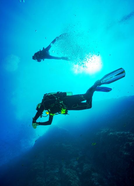 Discover Scuba Diving-Beginners-Chalkidiki-Kassandra - Dive Program Description