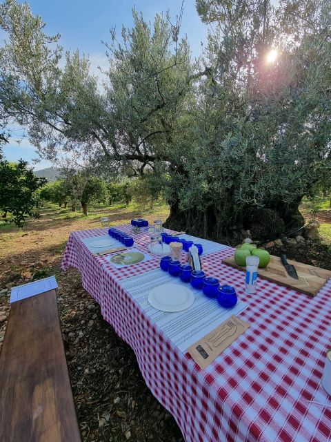 Ermioni: Olive Oil Tasting & Millennial Olive Tree Tour - Duration