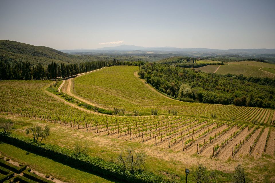 Florence: Tuscany Chianti Winery Private Day-Trip With Lunch - Important Information