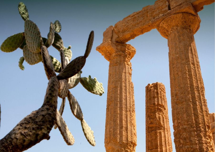 From Agrigento to Taormina: Valley of Temples & Roman Villa - Additional Details