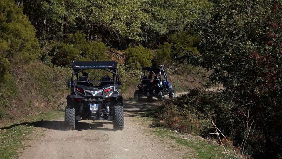 From Aritzo: Gennargentu Mountains Buggy Tour With Trek - Full Description