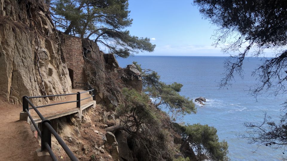 From Barcelona: Cliffs, Coves & Hiking in Costa Brava - Cultural Insights From Expert Guide