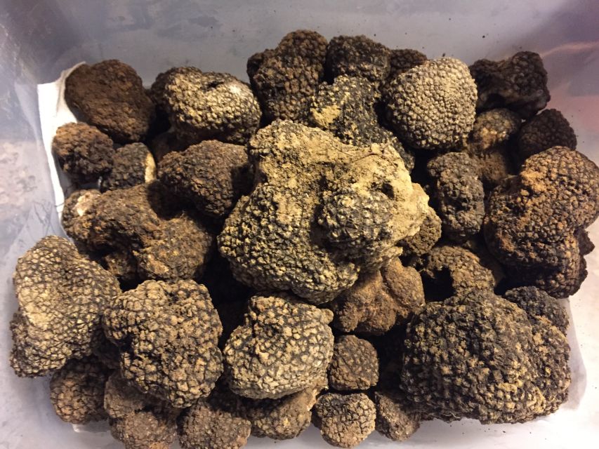 From Gavi: Piedmont Truffle Hunting Experience With Tasting - Last Words