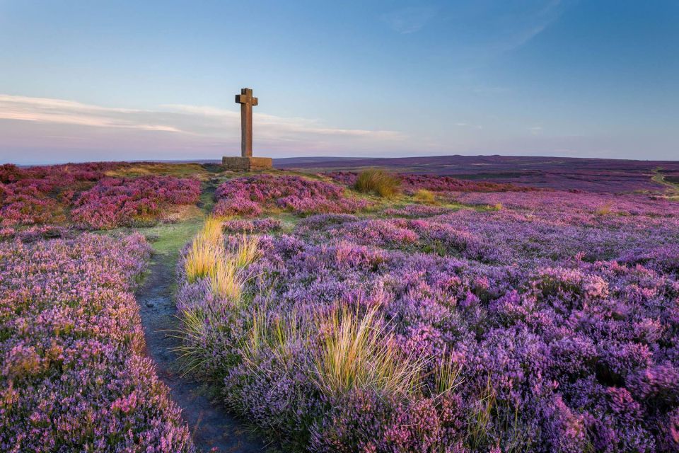 From York: Moors, Whitby, and the Yorkshire Steam Railway - Meeting Point