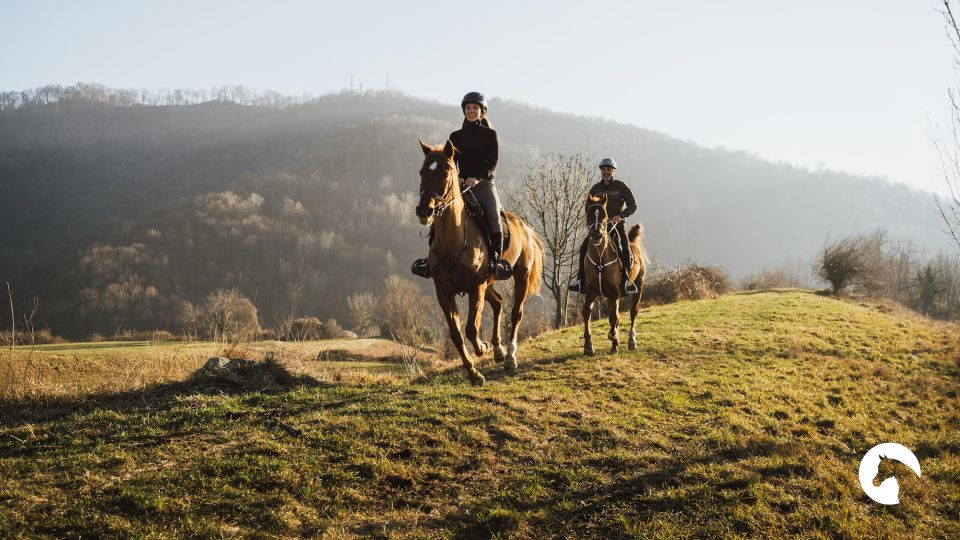 Lake Como: Horseback Adventure & Tasting With Amazing Views - Reviews