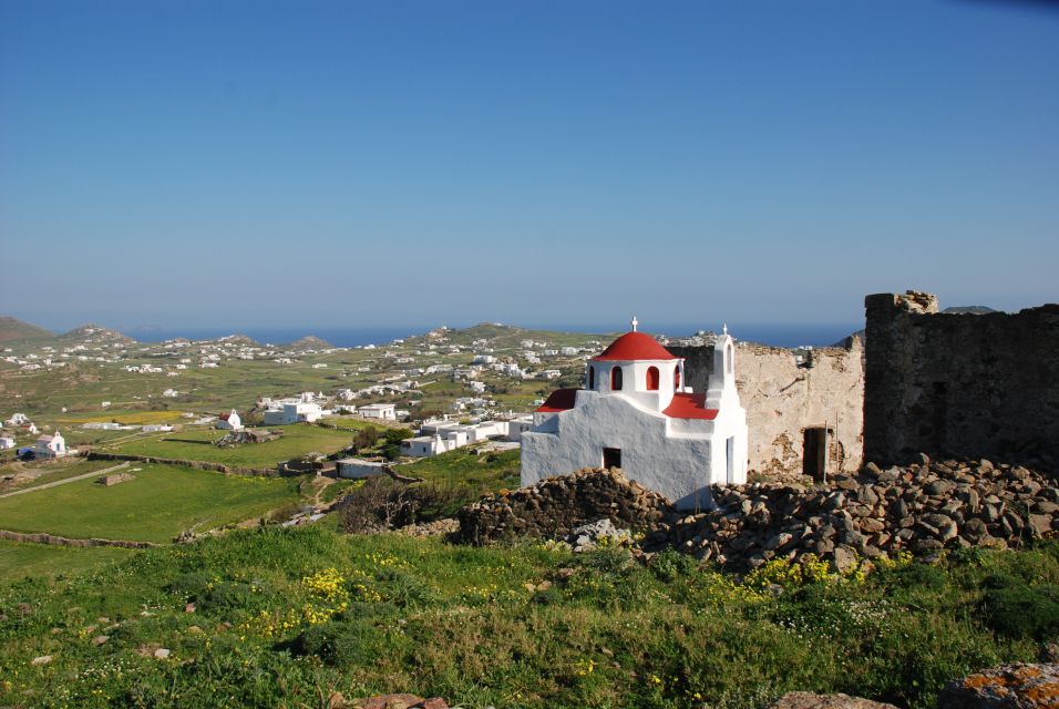 Mykonos Shore Excursion: City & Island Tour - Customer Reviews and Ratings