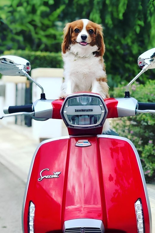 Positano: Lambretta Private Tour - Directions