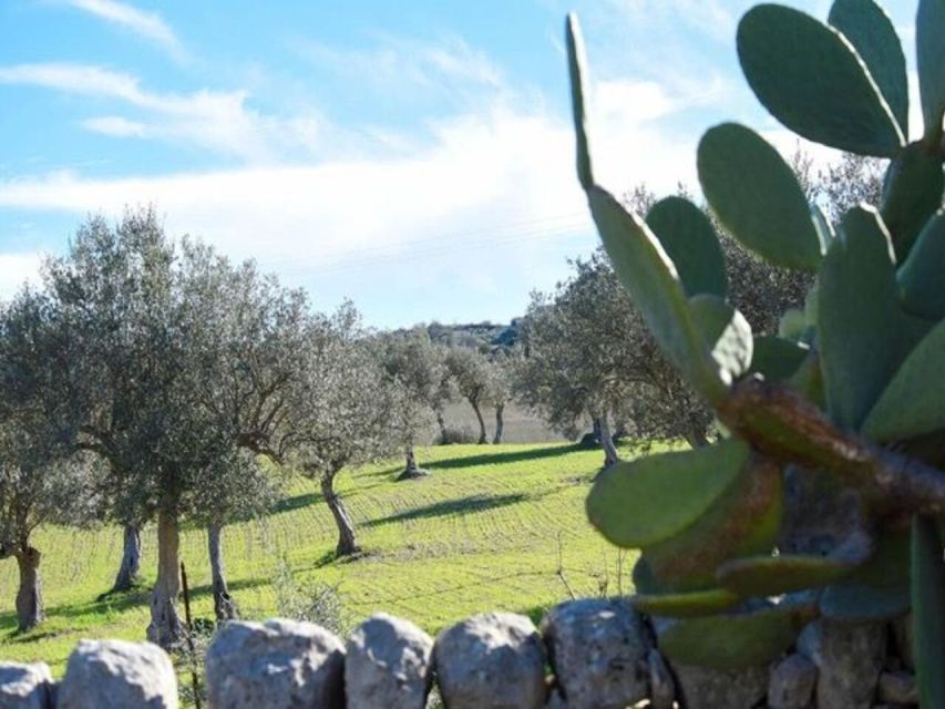 Ragusa: Ricotta Making Expereince at a Farm With Dinner - Customer Review