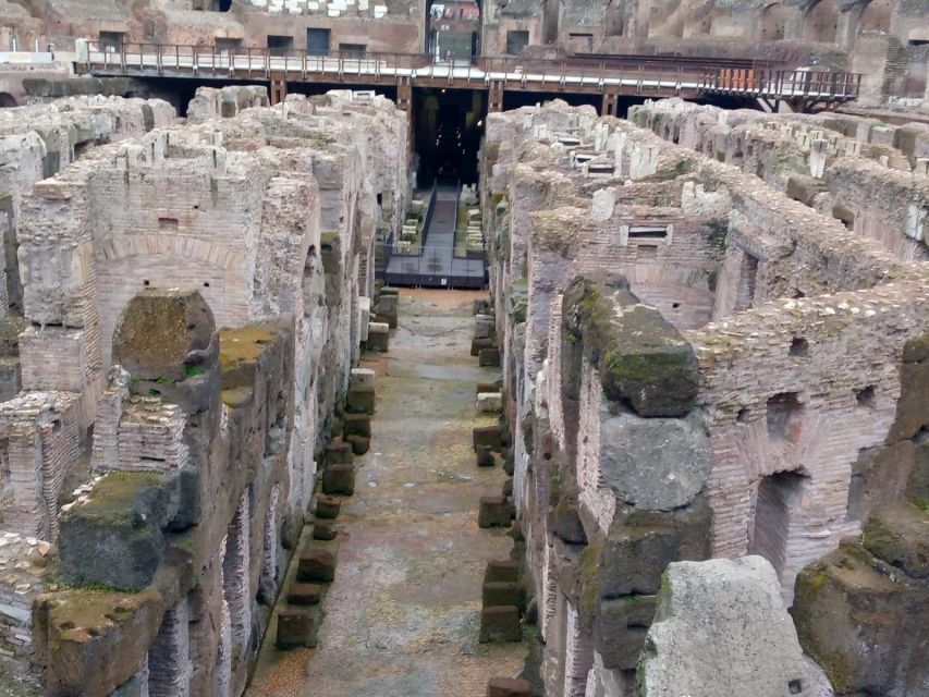 Rome: Colosseum, Forum, & Palatine Private Tour for Up to 4 - Common questions