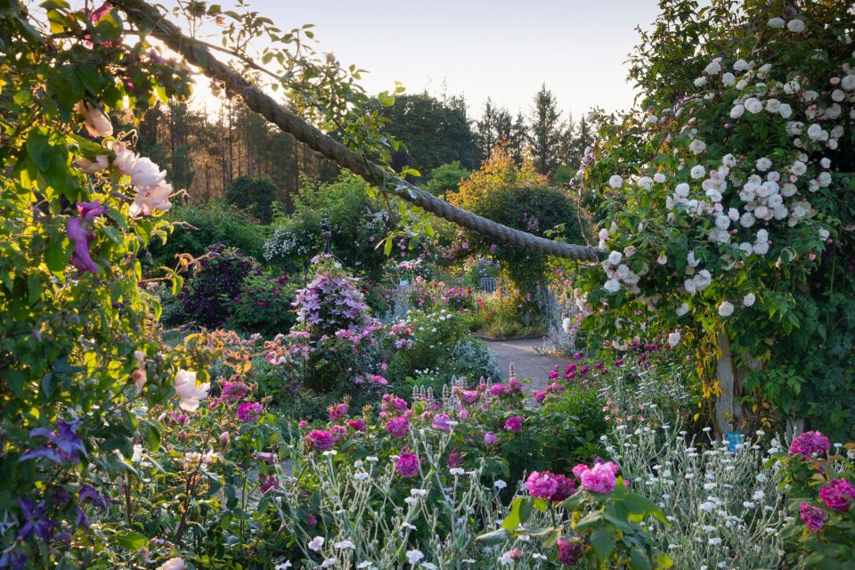 Royal Horticultural Society: Rosemoor Garden Ticket - Directions