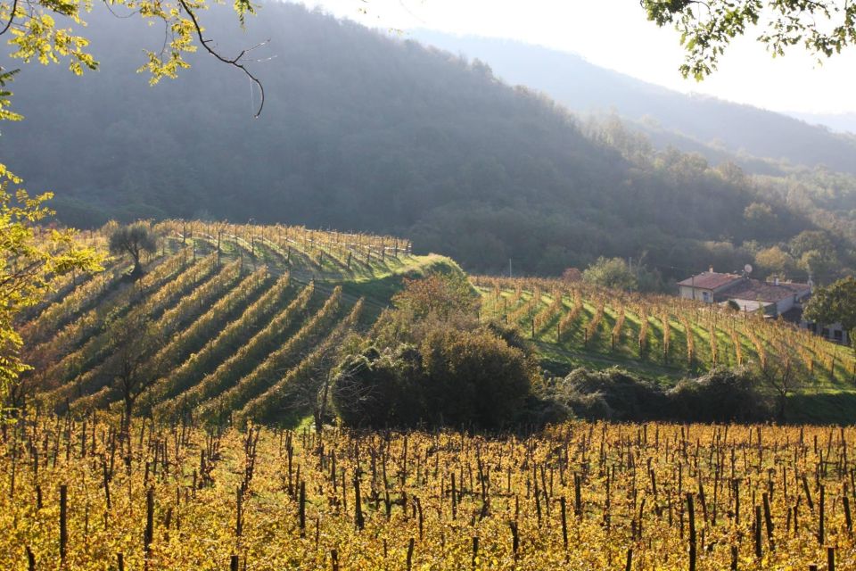 Wine Tour in the Euganean Hills From Padua - Common questions