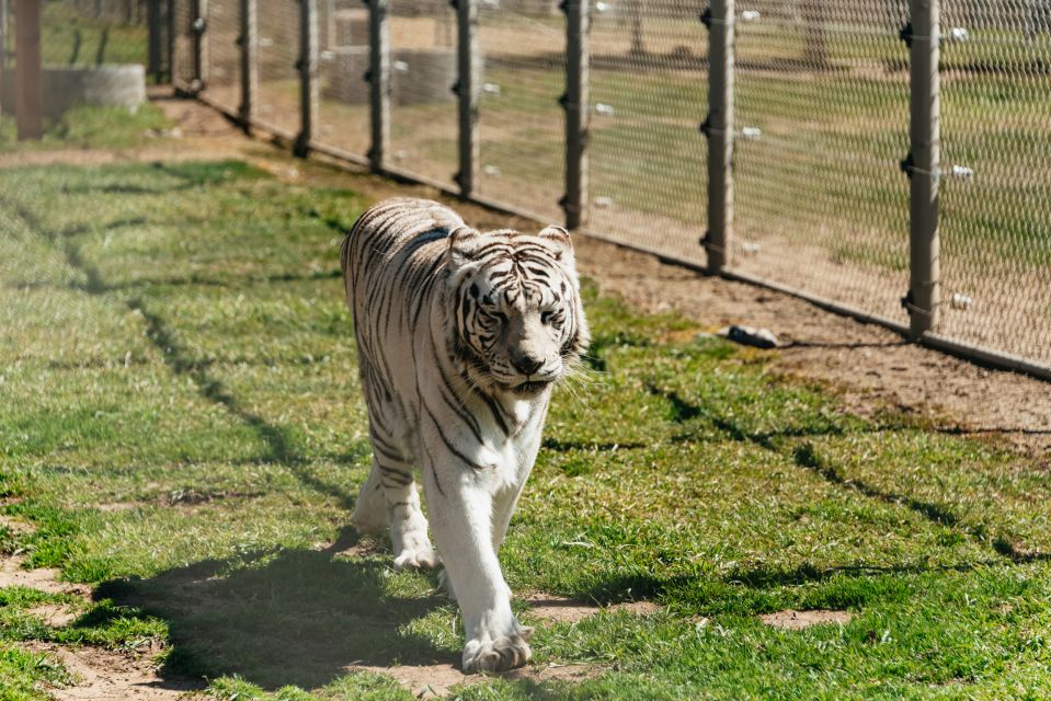 Alpine: Lions Tigers & Bears Animal Sanctuary Guided Visit - Directions