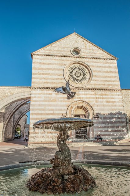 Assisi: Full-Day Tour Including St. Francis Basilica - Customer Reviews