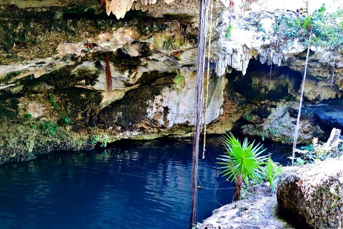 Cultural Cancun City Private Tour, Mayan Museum, Cenote and Lunch - Last Words