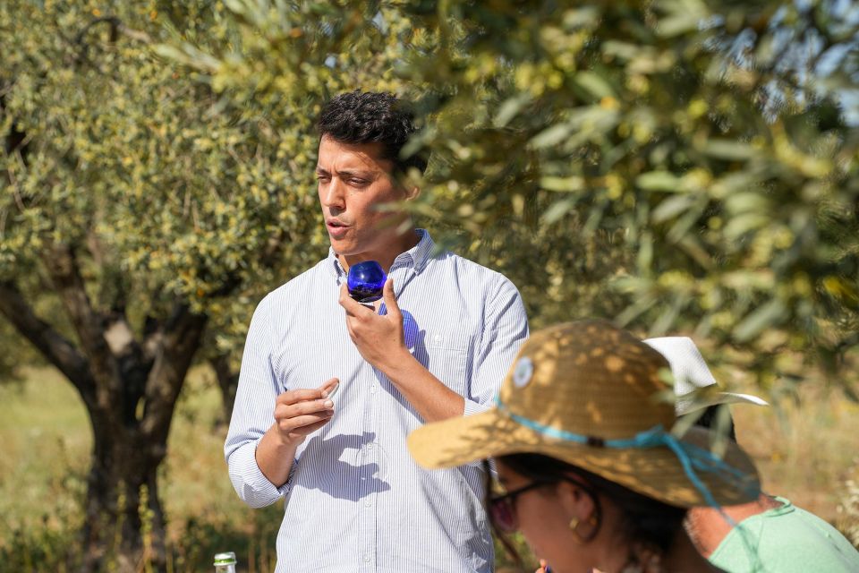 Ermioni: Olive Oil Tasting & Millennial Olive Tree Tour - Pricing