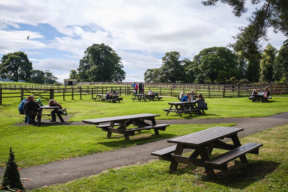 Hadrians Wall: Chesters Roman Fort and Museum Entry Ticket - Customer Reviews