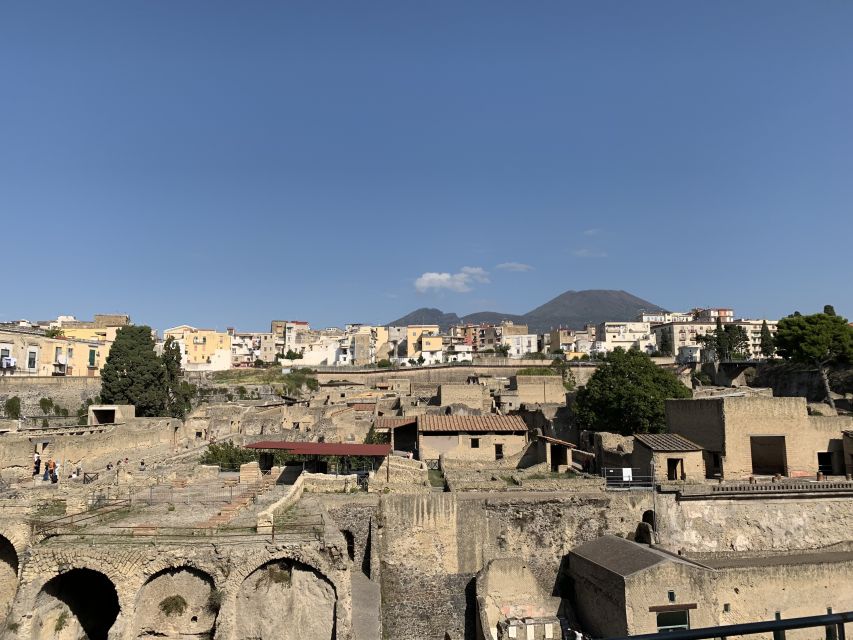 Herculaneum: Tickets & Tour With a Local Archaeologist - Last Words