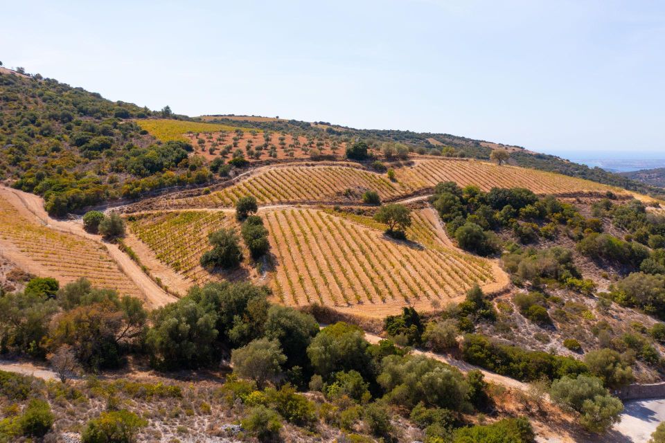 Kefalonia Highlights Robola Winery, Melissani & Fiscardo - Kefalonia History & Culture