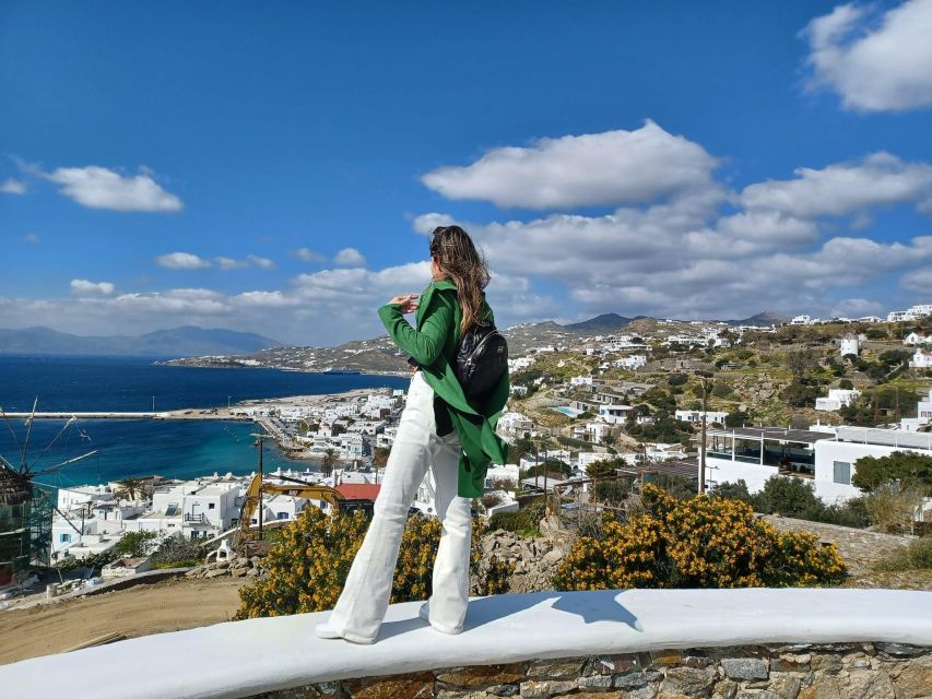 Panoramic Tour of Mykonos - Common questions