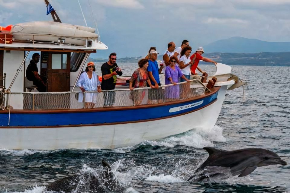 Preveza: Dolphin Watching Cruise With Lunch and Drinks - Common questions