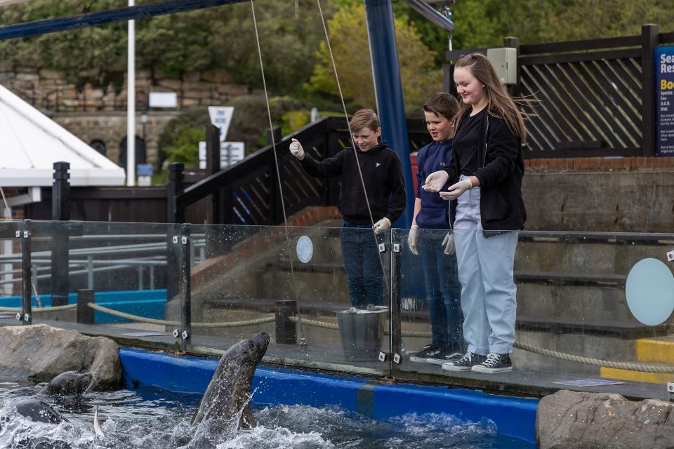 Sea Life Scarborough - Common questions