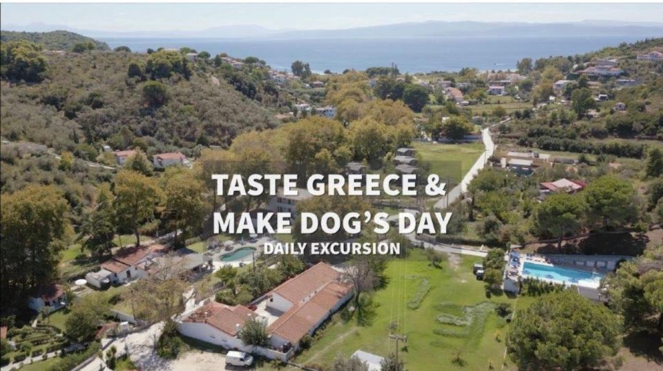 Skiathos: Dog Shelter Visit, Hike & Cooking Class With Lunch - Common questions