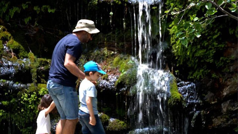 Andros Town, Pythara Falls, Menites Springs: Half-Day Tour - Review and Recommendations