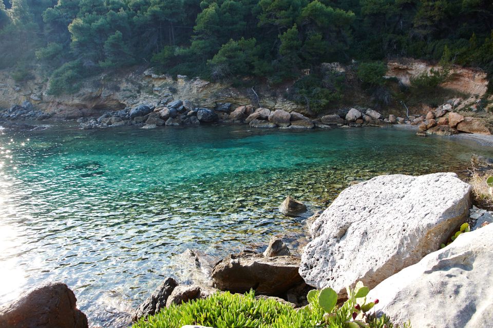 Chalkidiki: Scuba Diving for Beginners in Kassandra - Common questions