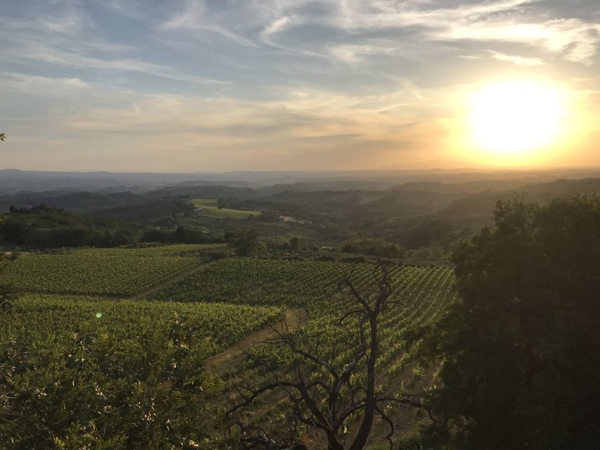 Florence: Tuscany Chianti Winery Private Day-Trip With Lunch - Pricing