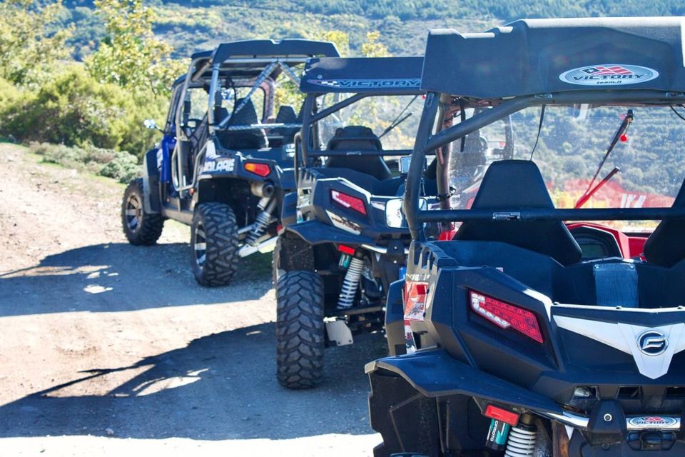 From Aritzo: Gennargentu Mountains Buggy Tour With Trek - Inclusions and Restrictions