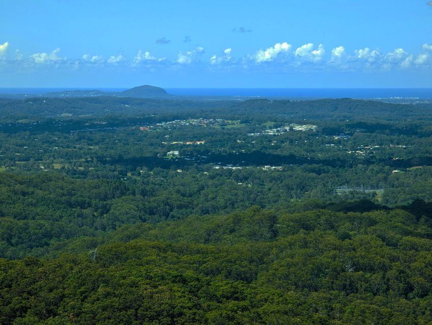 From Brisbane: Day Trip to Noosa, Eumundi Markets - Last Words