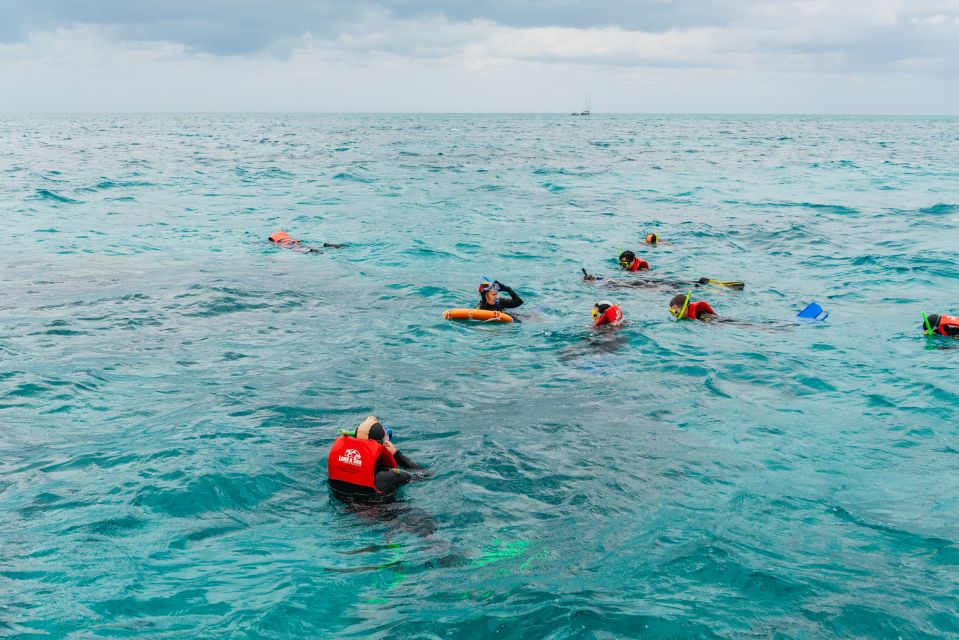 From Cairns: Green Island Full-Day Cruise - Logistics and Check-In