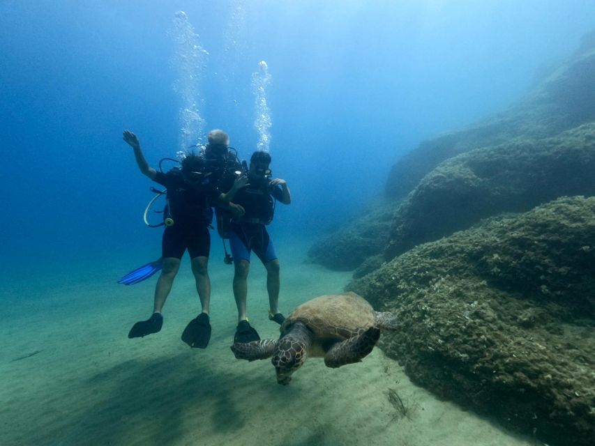 Heraklion: Scuba Diving Experience for First-Timers - Directions and Customer Feedback