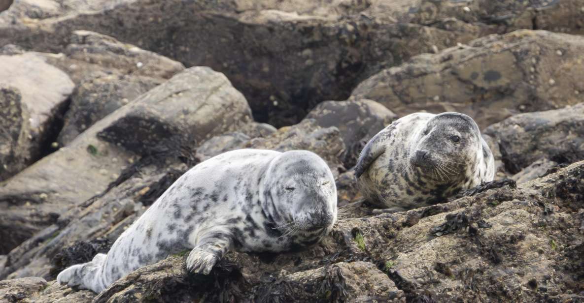 Mounts Bay, Penzance Discovery Boat Trip - Highlights