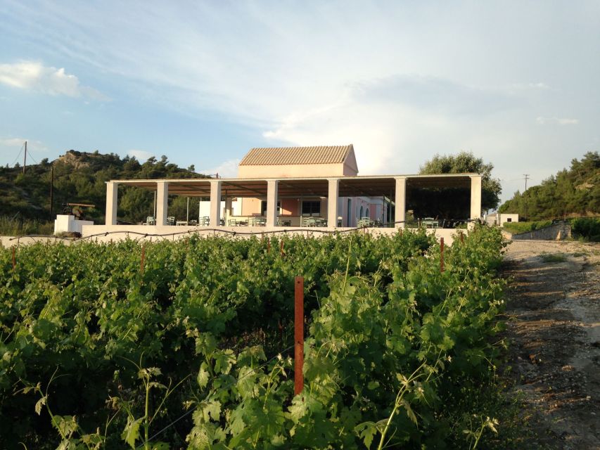 Rhodes: Cooking Class and Wine Tasting Experience - Common questions