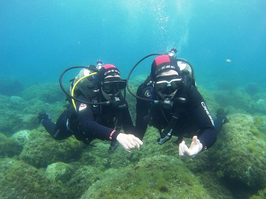 Chalkidiki: Scuba Diving for Beginners in Kassandra - Last Words