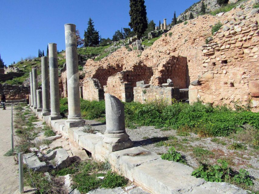 Delphi: Audio Guided Tour of the Sites in French or English - Tour Guidelines