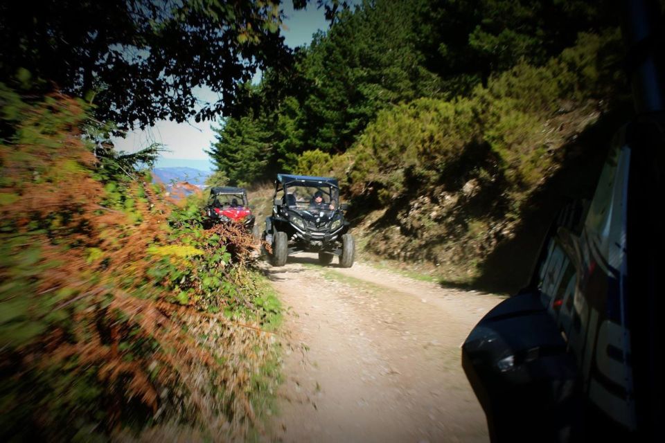 From Aritzo: Gennargentu Mountains Buggy Tour With Trek - Important Information and Reviews