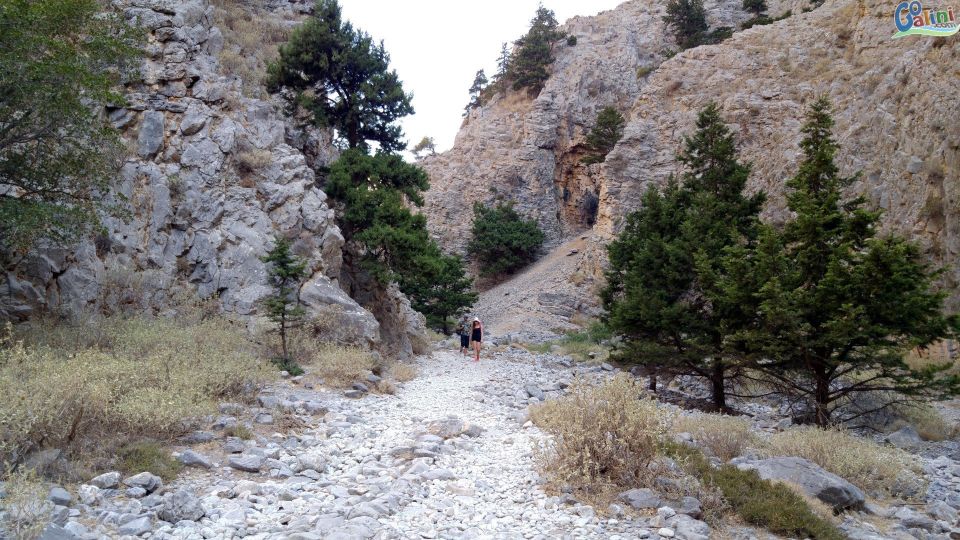 From Rethymno: Imbros Gorge & Libyan Guided Sea Tour - Enjoy a Traditional Cretan Lunch